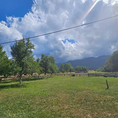 House Under The Velebit Mountain Villa Medak Exterior foto