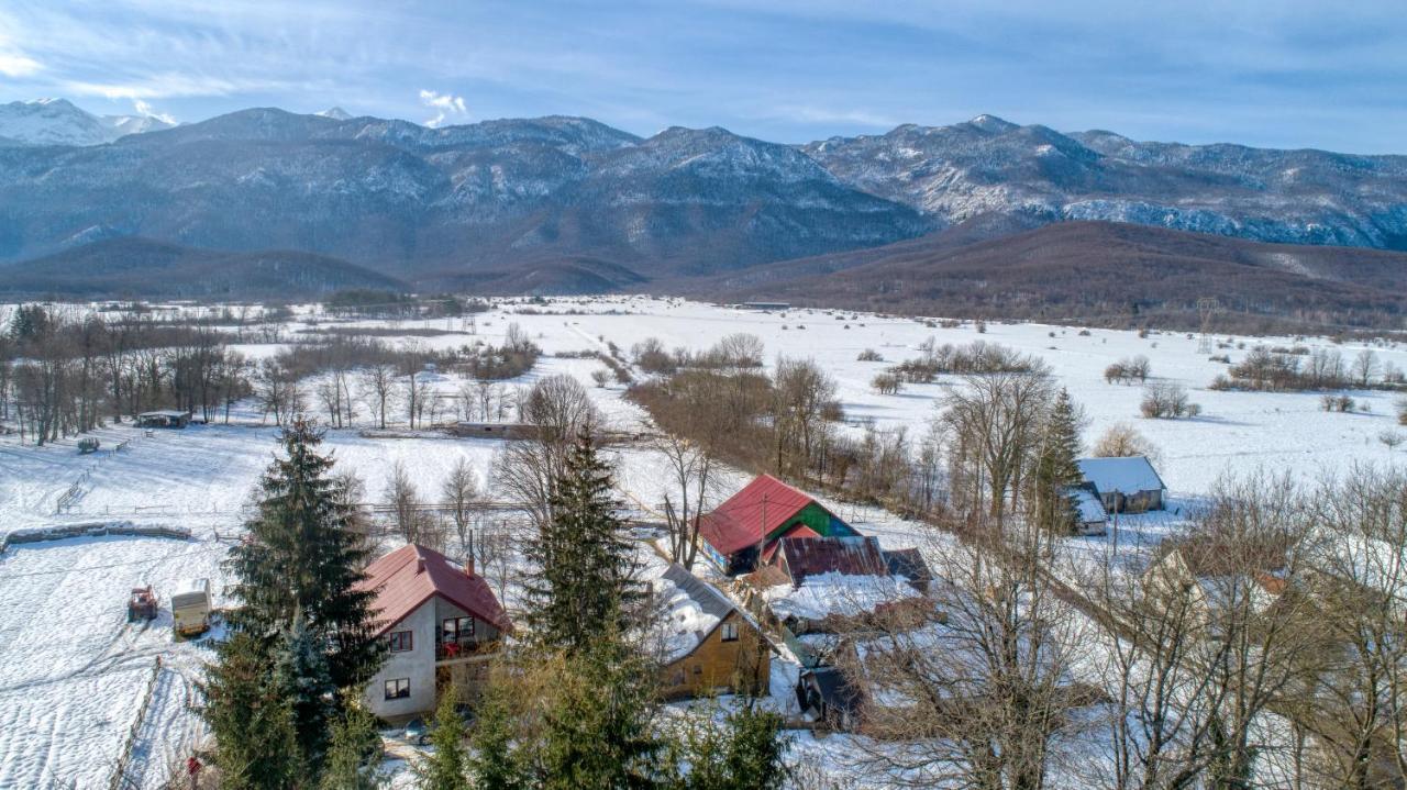 House Under The Velebit Mountain Villa Medak Exterior foto