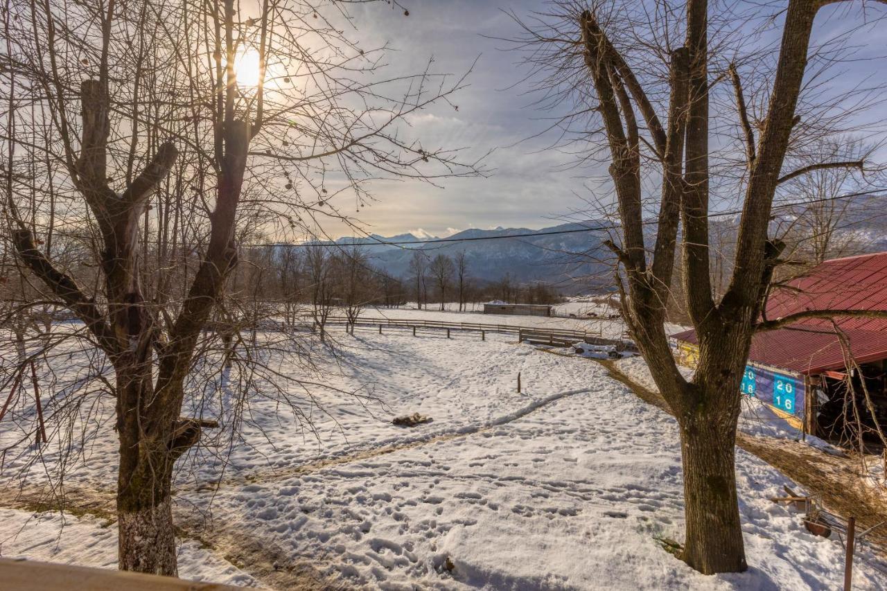 House Under The Velebit Mountain Villa Medak Exterior foto