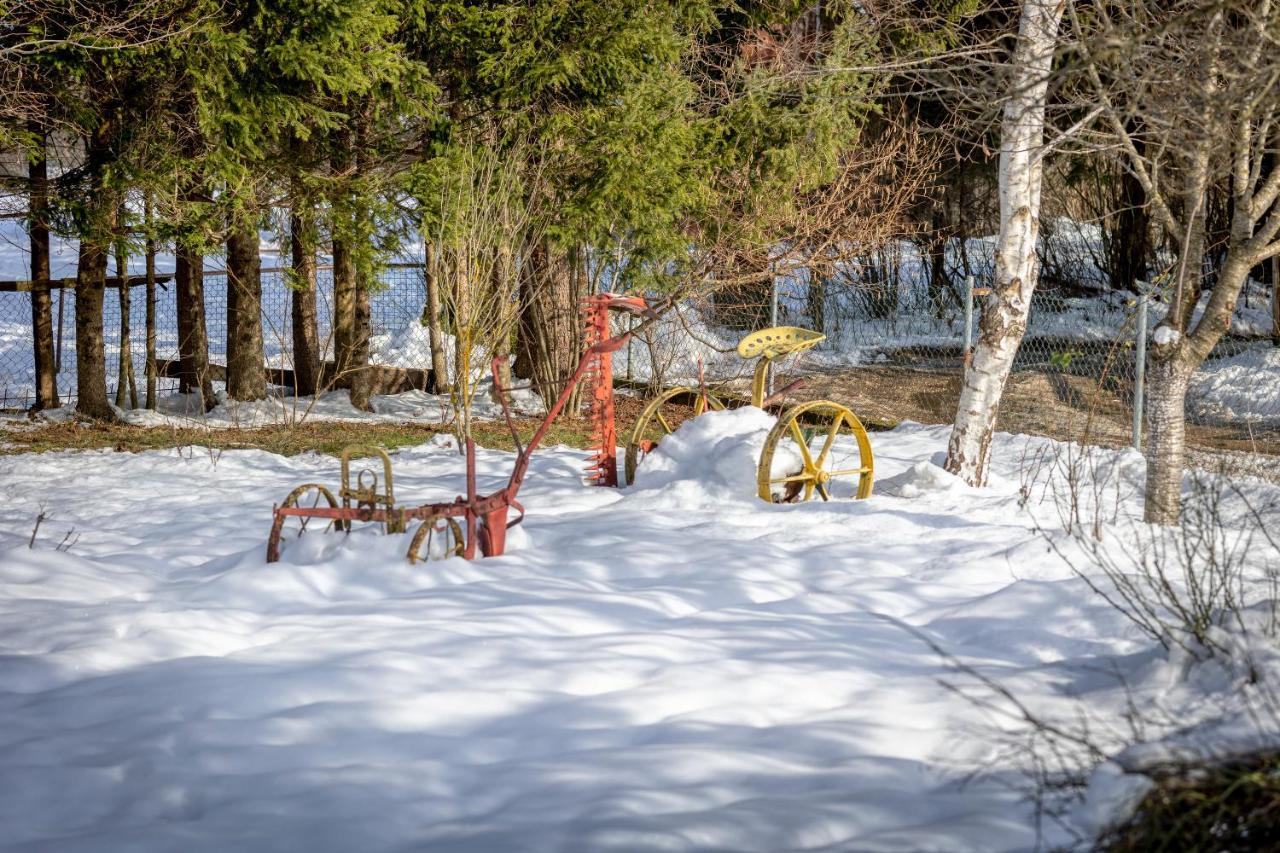 House Under The Velebit Mountain Villa Medak Exterior foto